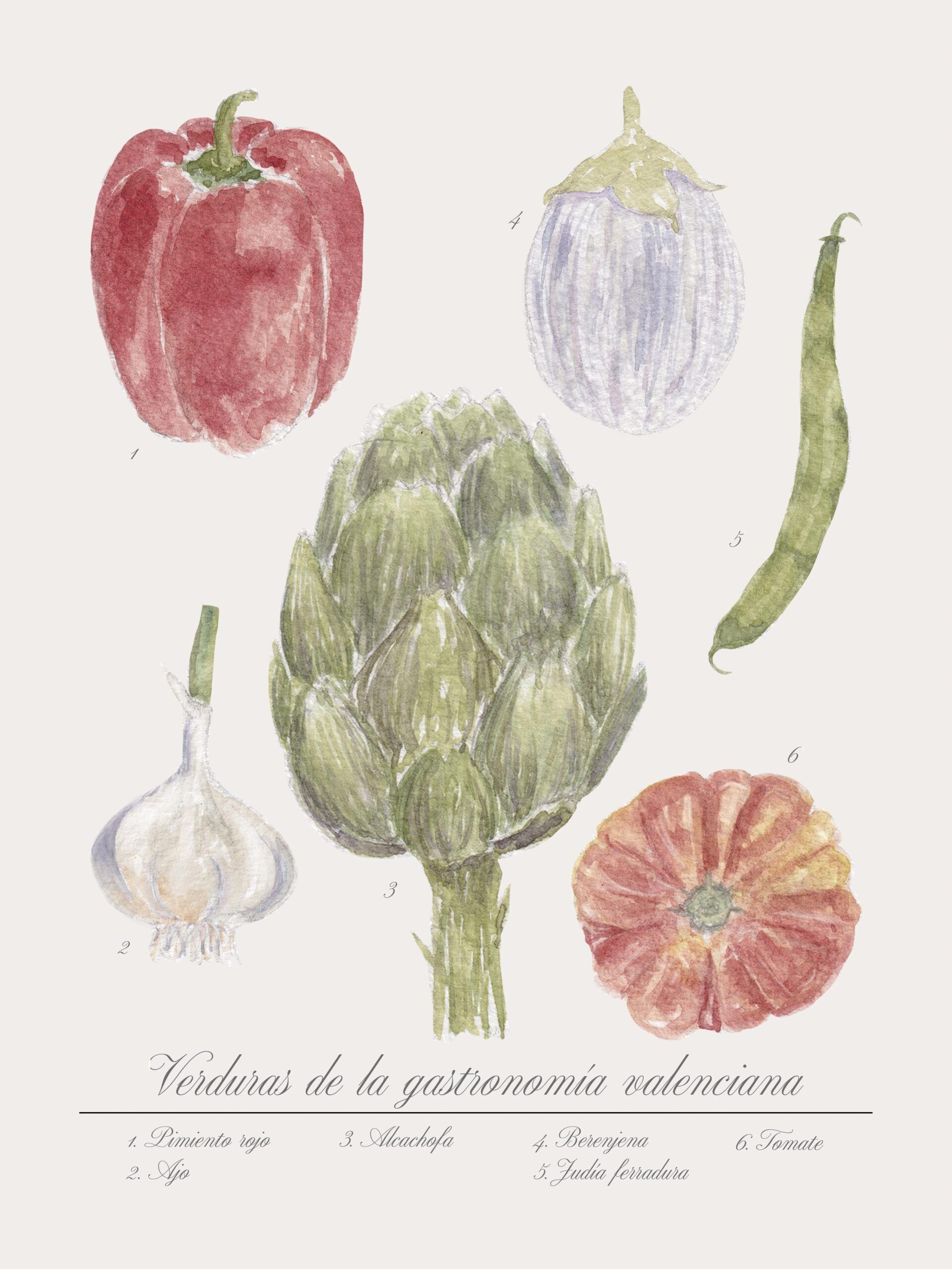 Verduras - Imagen 2